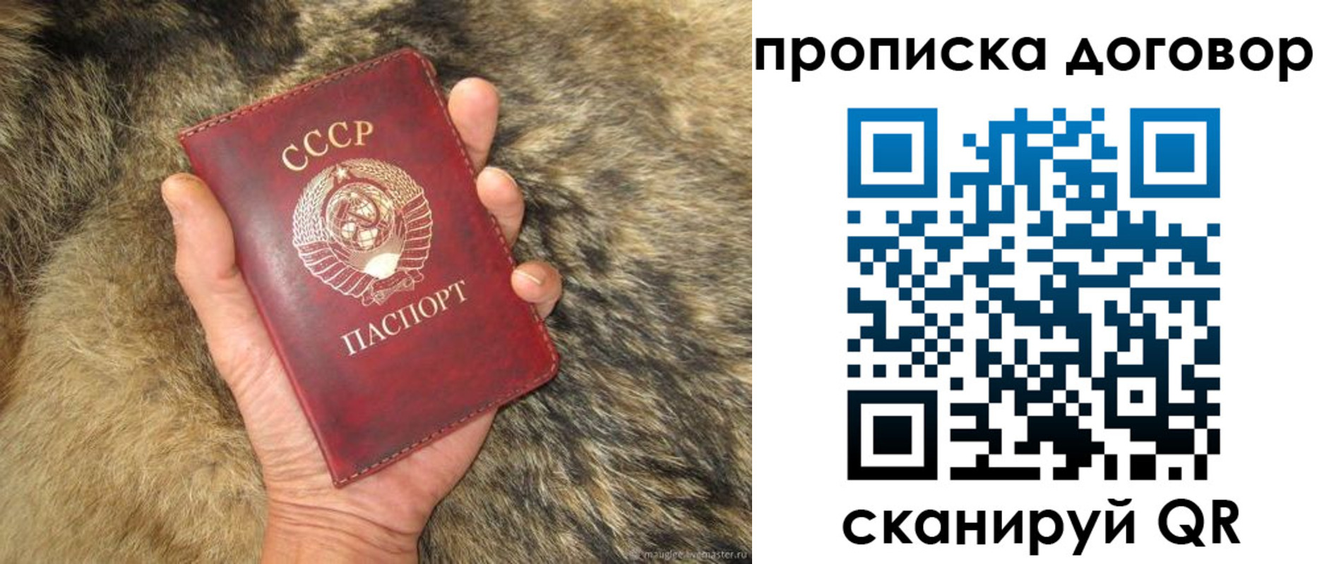 прописка регистрация в Опочке